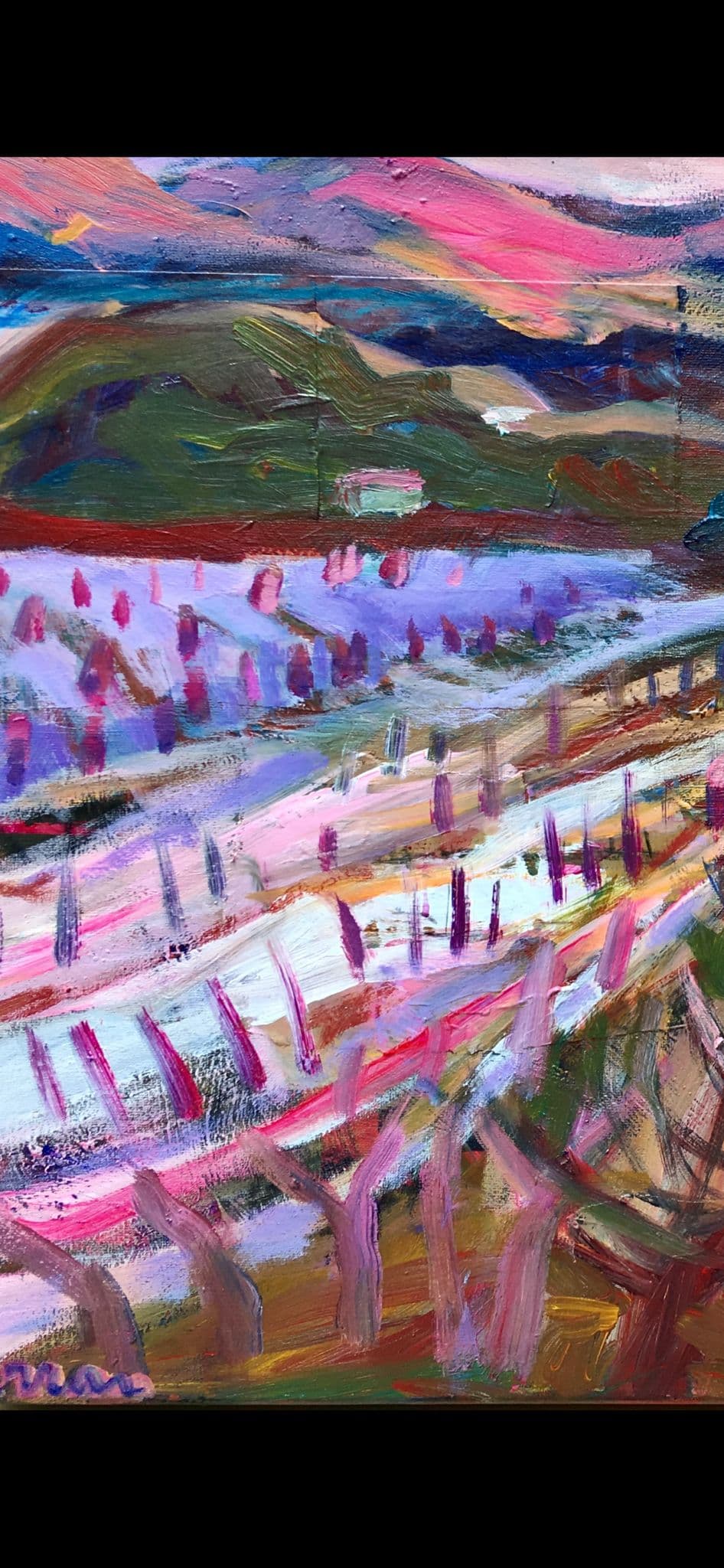 Viñas Binisalem, detalle